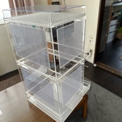 値下げ!モモンガ飼育用アクリルケージ