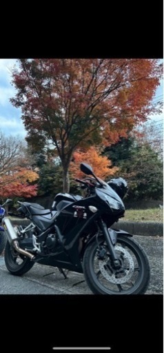 CBR250R(MC41) 後期2眼