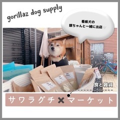 お洒落すぎるペット用品店「gorillaz dog supply...
