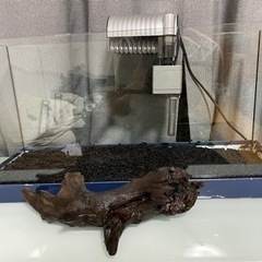 すぐに飼育できます👍900スリム水槽　その他セット