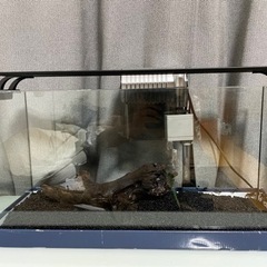 すぐに飼育できます👍900スリム水槽　その他セット