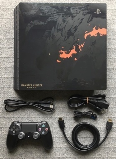 少し訳あり PS4