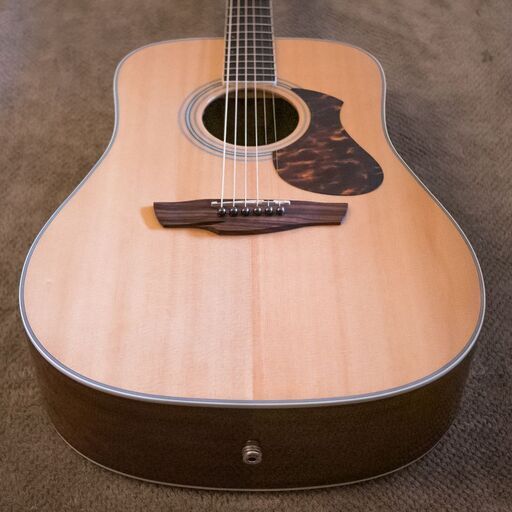 James J-500D エレアコ ハードケース James J-500D エレアコ ハードケース