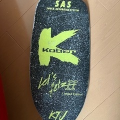 【話し合い中】引越し処分④カヤック　エスキモー　ケンドー