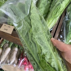 【初回割引あり】富田林の畑から直送！無農薬・無科学肥料野菜セット - 地元のお店