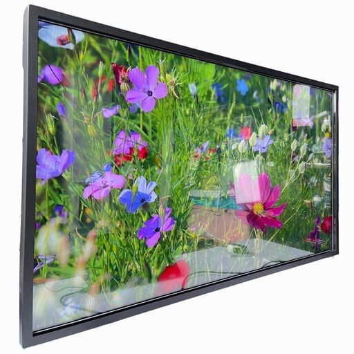 【お引取り限定】HYUNDAI（ヒュンダイ）55インチ液晶モニター D55EMI