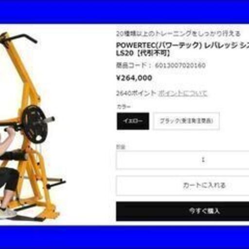 商談中】パワーテック レバレッジ システム ウエイト105