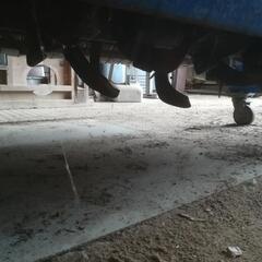 再値下げしました　パディーハロー　PS227