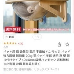 【ネット決済】猫用　ハンモック　丸型