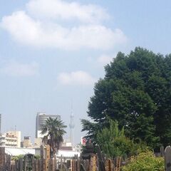 マンション共用部・住居の庭の植栽伐採なら【街の便利屋 東京営業所】