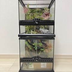 ジェックス グラステラリウム3030 2つ+おまけ