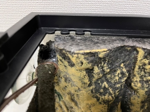 ジェックス グラステラリウム3030 ショップ 2つ+おまけ 