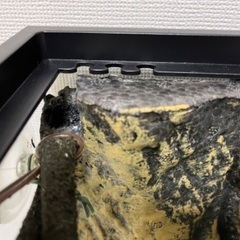 ジェックス グラステラリウム3030 2つ+おまけ