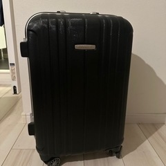 スーツケース　トラベルサイズ
