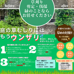 🥦🥦草刈り、剪定業者を見直してみませんか❓無料見積もり🫑🫑