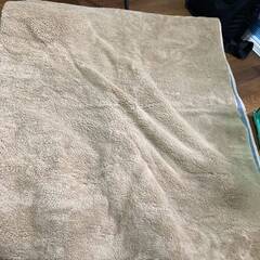 詳細不明 ラグ カーペット 絨毯 約240×200cm