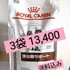 【ネット決済・配送可】ロイヤルカナン 消化管サポート 猫用  2...