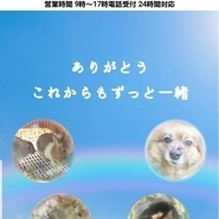 ペット訪問火葬のお手伝い　（日払い・簡単な業務）