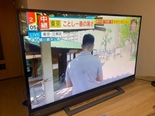 テレビ