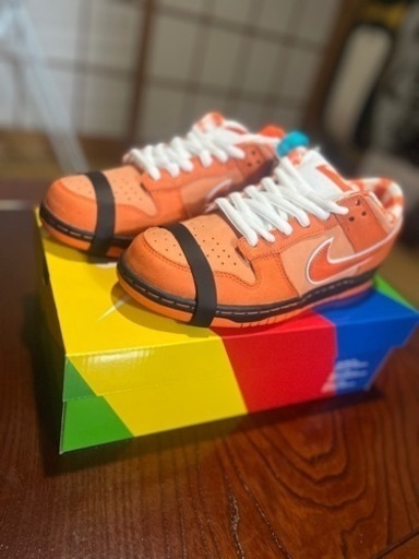 Concepts×NIKE SB Dunk Low \