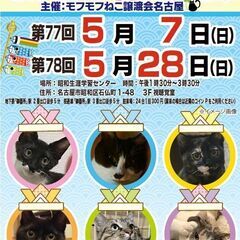 5/7日)　猫の譲渡会　in　名古屋市昭和生涯学習センター
