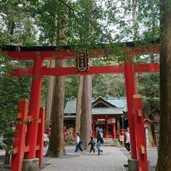 『椿大神社参拝ご祈祷』体験会 - 友達