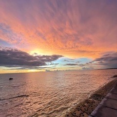 一緒に海に行くお友達募集♡♡♡