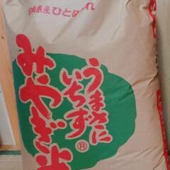 野菜付き　宮城県産　ひとめぼれ　精米　10kg