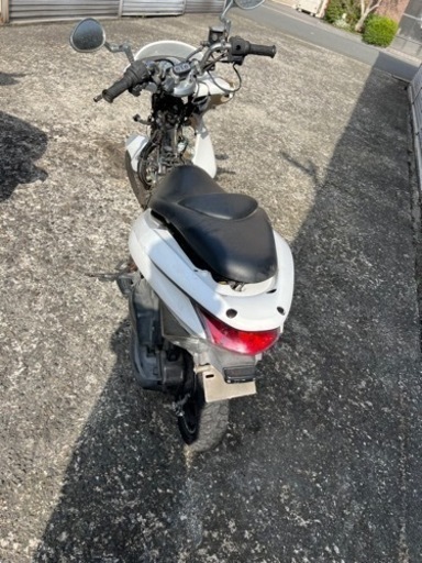 PCX 人気　早い者勝ち