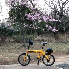 Hummer ハマ 折りたたみ 自転車 20 速