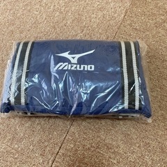 MIZUNO保冷温バッグ