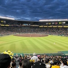 集え阪神タイガースファン！