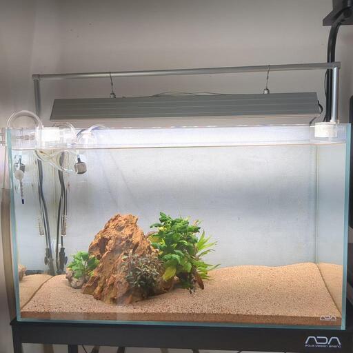 ADA60センチ水槽のみ