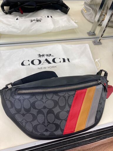 COACH 　ﾒﾝｽﾞｳｴｽﾄﾊﾞｯｸ/ｼｸﾞﾈﾁｬ-　HG-472