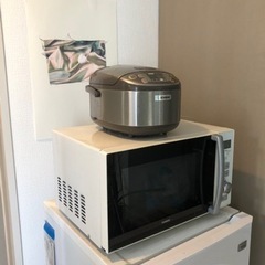 電子レンジ・炊飯器（出来たらミシンも）