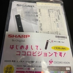 SHARP 4Kテレビ 42インチ 4T-C42DJ1 2021年製