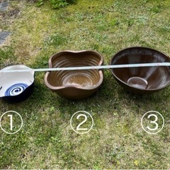 睡蓮鉢3つ