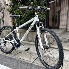 ルイガノ★アルミフレーム★マウンテンバイク　3段×8段ギア　26インチ