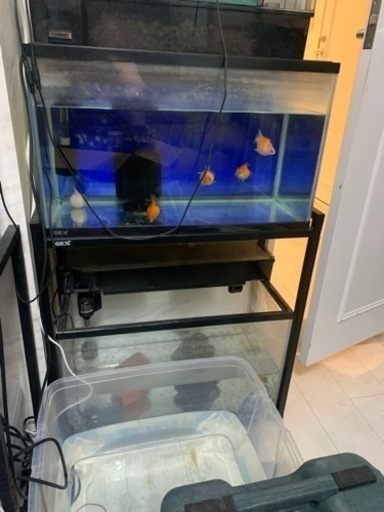 60センチ水槽×２ セット
