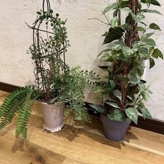 フェイクグリーン 2個セット 観葉植物