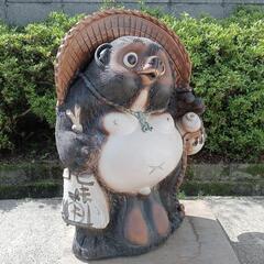 たぬき その他の中古が安い！激安で譲ります・無料であげます｜ジモティー