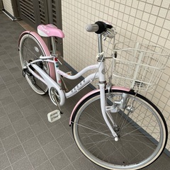 子供用自転車　ブリヂストン　ワイルドベリー24インチ