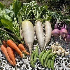 無農薬野菜セット　大根　人参　あやめ雪　コマツナ　ニンニク　スナ...