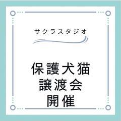 29日13時より譲渡会開催