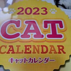 2023カレンダー　猫ちゃん