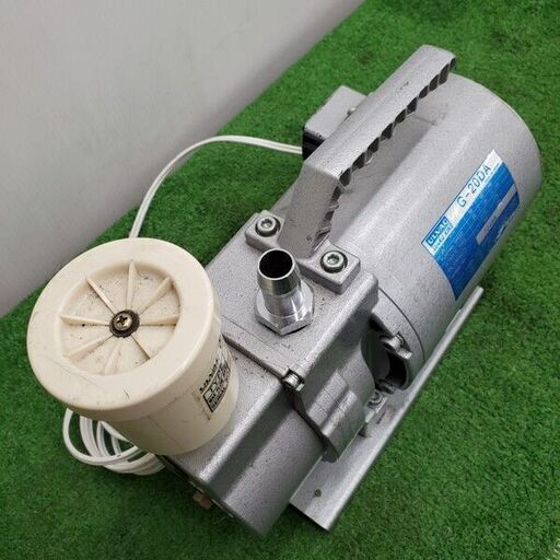 ①【処分価格】新品 タンポポ R30cm H60cm ワォームホワイト 2本セット