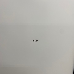 IRIS OHYAMA 2ドア冷蔵庫 2021年製IRSD-14-Wです。【トレファク東大阪店】