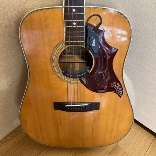Pro Martin W-200  プロマーチン　ビンテージギター