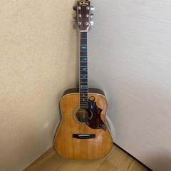Pro Martin W-200  プロマーチン　ビンテージギター