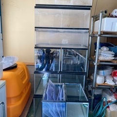 中古水槽　メダカの飼育などに　幅90㎝ガラス水槽6本　幅90㎝アクリル水槽5本　60㎝ガラス水槽　スポンジフィルター等　まとめ購入して頂ける方募集
